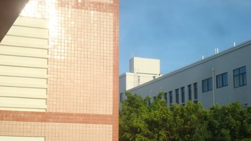 116817