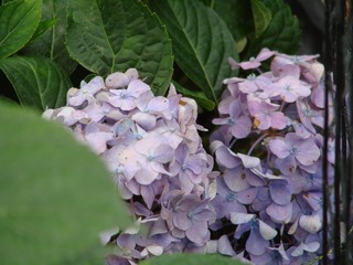 733651D5-C9AC-4774-9127-0C56B1A0BA97/L0/001