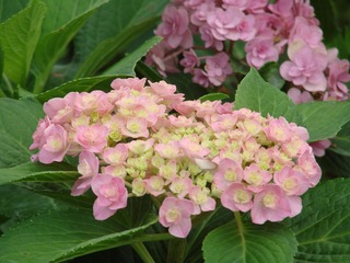 AE7788B9-3F7B-4353-9F34-AF18E8BE2912/L0/001