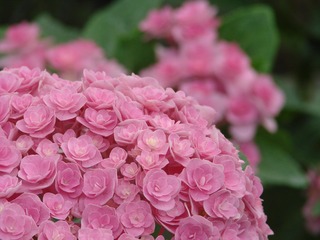 43F85B26-0087-49A3-BFD1-1122AE48F849/L0/001
