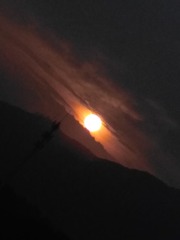 2062350