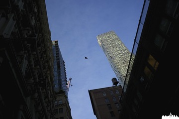 NYC51