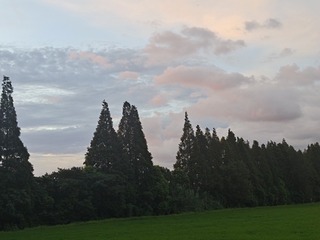 1000006464
