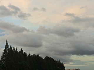 1000006465