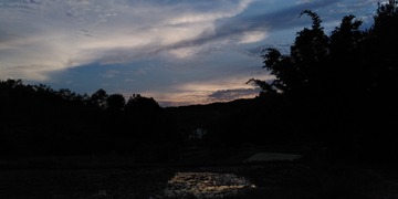 81