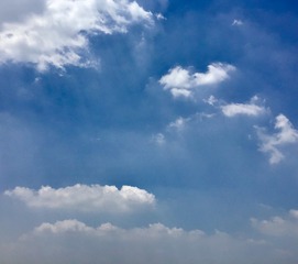 35D4115F-7D10-450F-A7AE-201FFFD1602E/L0/001