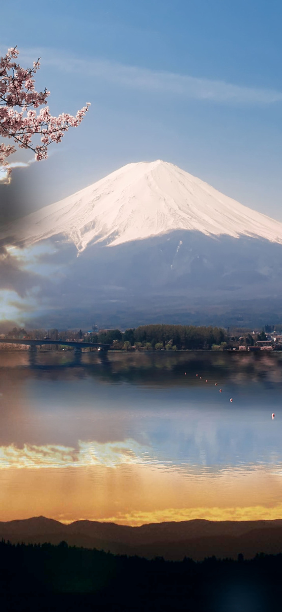富士山映着夕阳