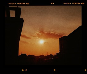 2393822