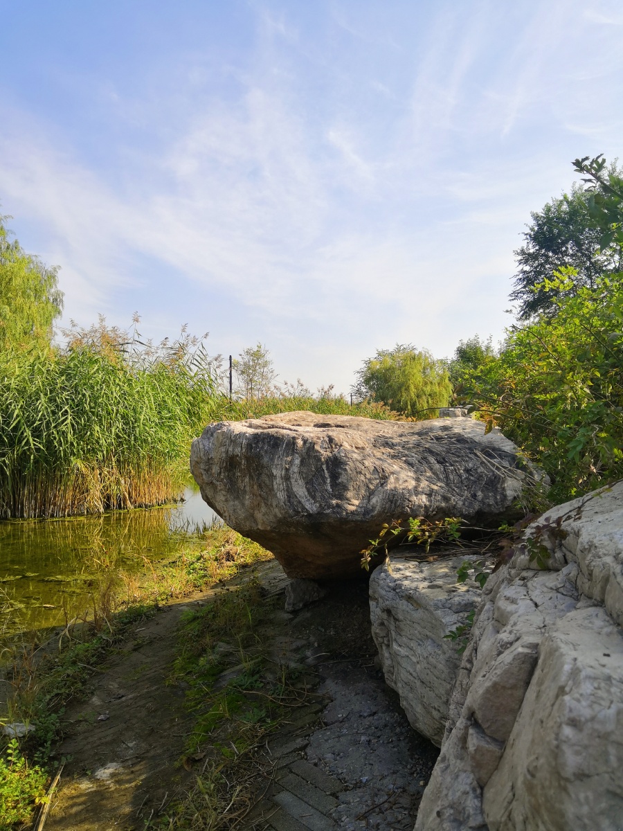 石家庄中山路湿地公园风光二