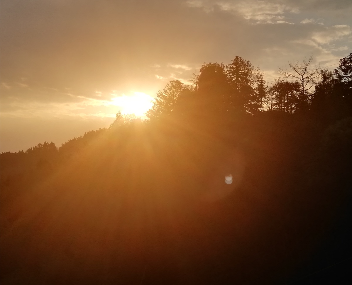 傍晚时的落日总是那么可爱