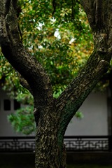 1088719D-3389-4615-8879-FF225AD2CCB8/L0/001
