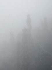 1727604
