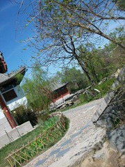 石子小路