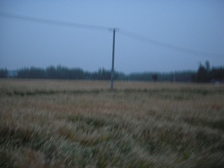 1000138310