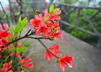 5CCA0BCF-77EB-477D-AA93-E68C31EC8AEA/L0/001