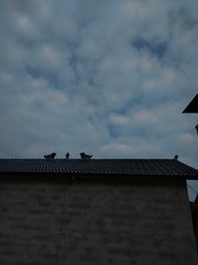 160513