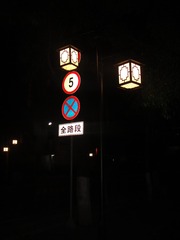 5229