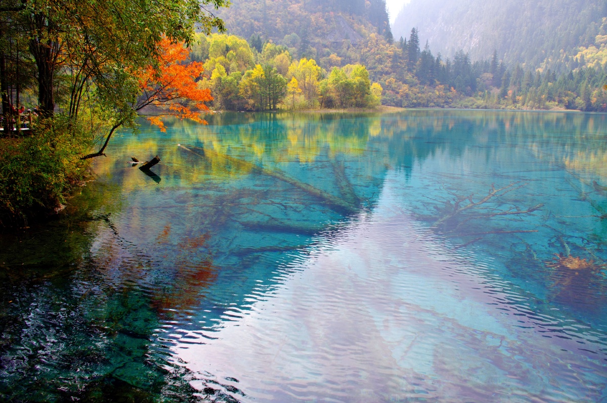 最是难忘九寨沟那一池碧水震前