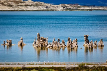 Tufa, Mono Lake