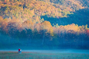 IMG_1240.jpg