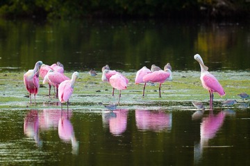 _MG_3068.jpg