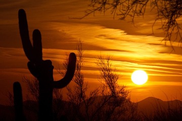Saguaro国家公园