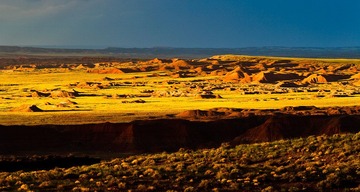 Petrified Forest National Park