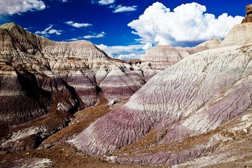 Blue Mesa
