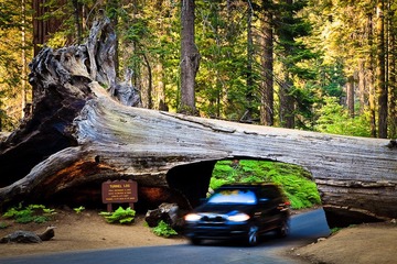 Tunnel Log