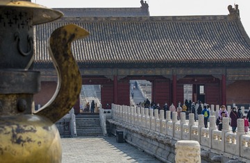 野花