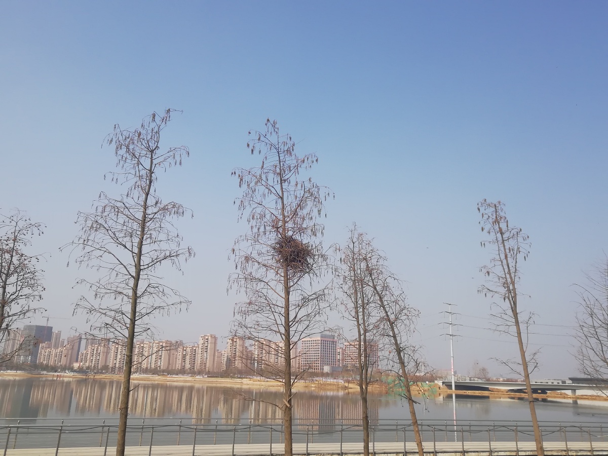 驻马店人民公园 - 姐的视界 - 图虫