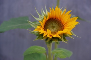 102068