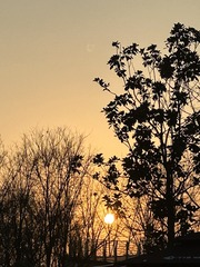 1F21FA1D-02AD-4B39-9EC0-28F0A36D208A/L0/001