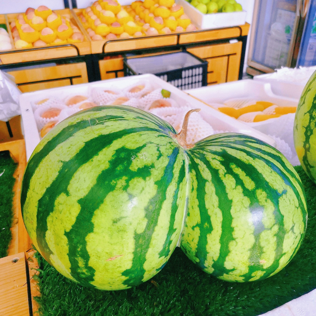 连体西瓜据说一万个西瓜才会出现一个看到都好运