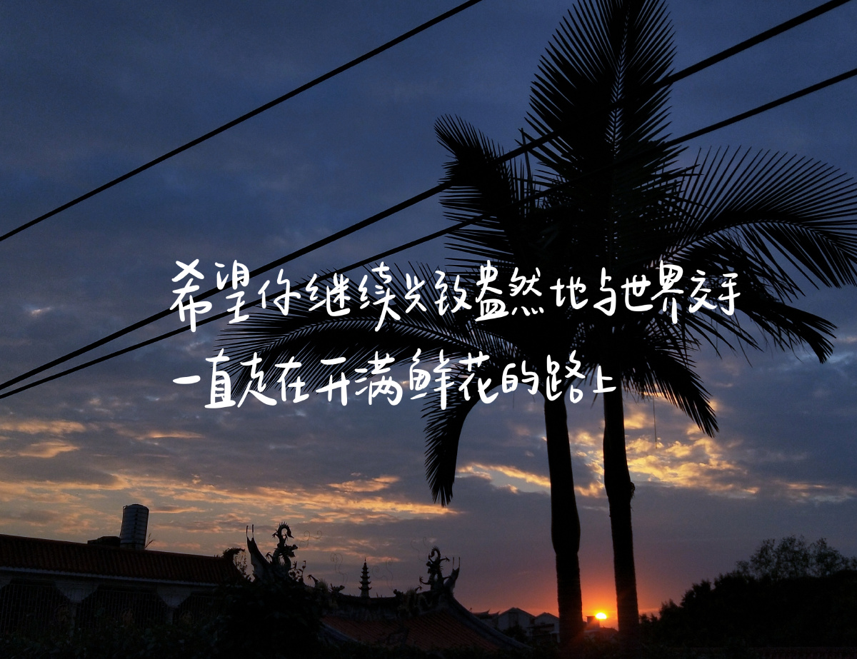 希望你继续兴致盎然地与世界交手一直走在开满鲜花的路上