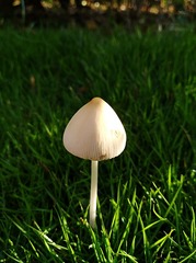1218972