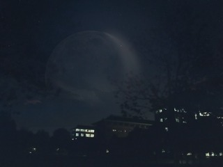 3606