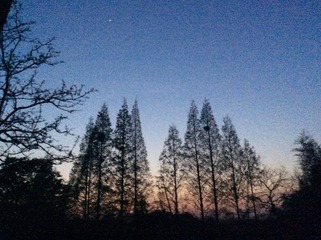 76E15EE3-ED3C-42CA-AF04-475D492D5BA3/L0/001