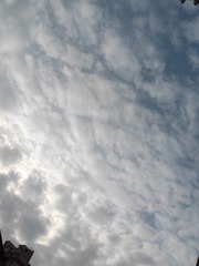 1000067924