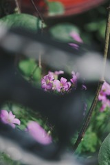 E95F2D45-E1DF-496B-8D29-B8FA3AD79DDA/L0/001