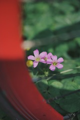 FC767720-CE4A-47B8-BC4E-CF3838A175FF/L0/001