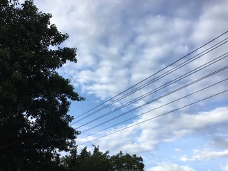 DF078A84-B4B0-498D-A6A7-E0F52BB68932/L0/001