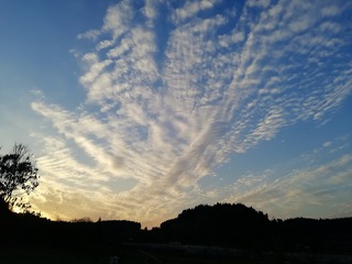 100365