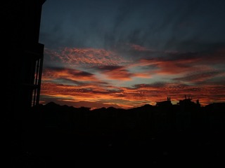 1560772