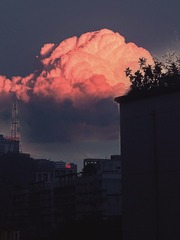 645146