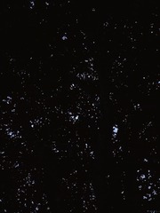 2370342