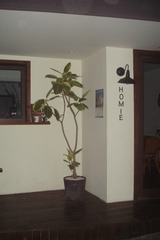 1684557