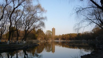 未名春色