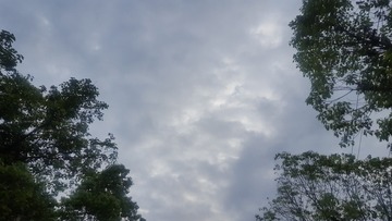 81500