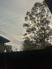 1430679